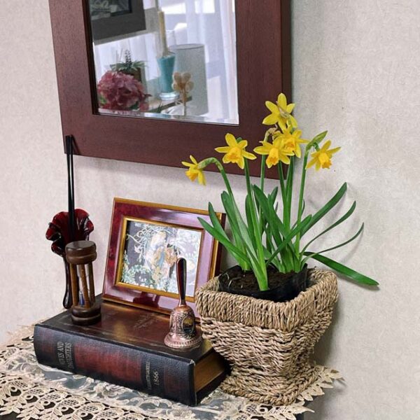 インテリア仏壇と今日の誕生花：黄色いスイセン（水仙）
