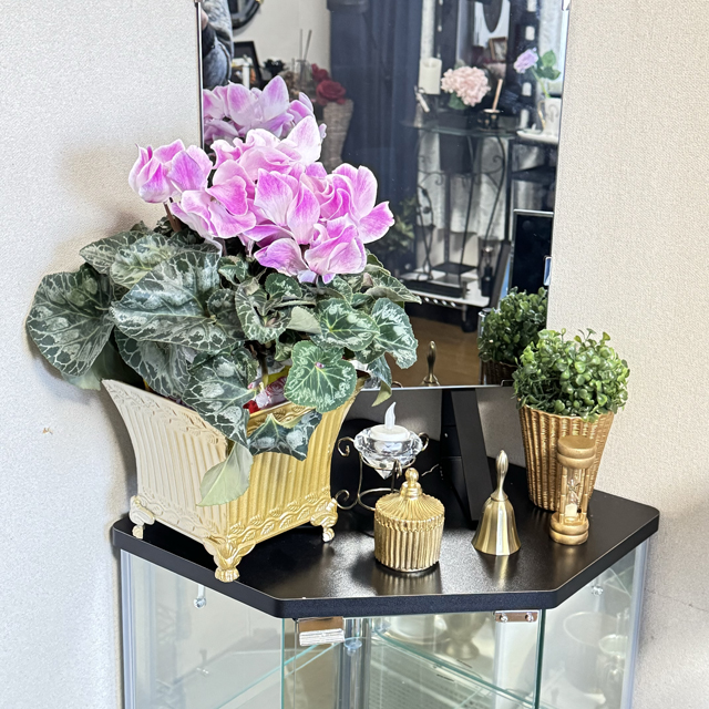 インテリア仏壇「鏡壇ミラリエ」「鏡壇ミロワ」に今日（2/4）の誕生花の「ピンクのシクラメン（篝火花）」 を飾ってみました。