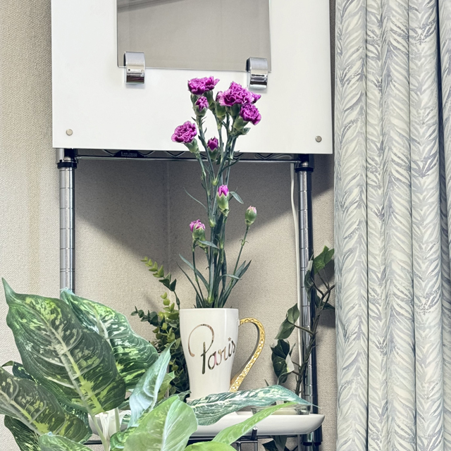 インテリア仏壇「鏡壇ミラリエ」「鏡壇ミロワ」に今日（4/22）の誕生花の「インテリア仏壇と今日の誕生花：スプレーカーネーション（麝香撫子）」 を飾ってみました。